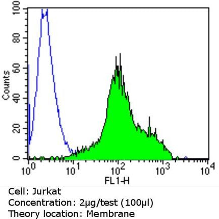 TCR V beta F1 Monoclonal Antibody (8A3)