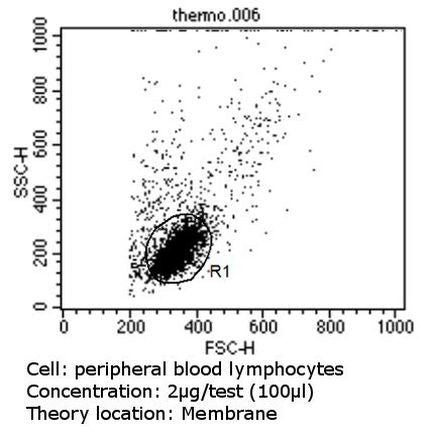 TCR V alpha 12.1 Monoclonal Antibody (6D6.6)