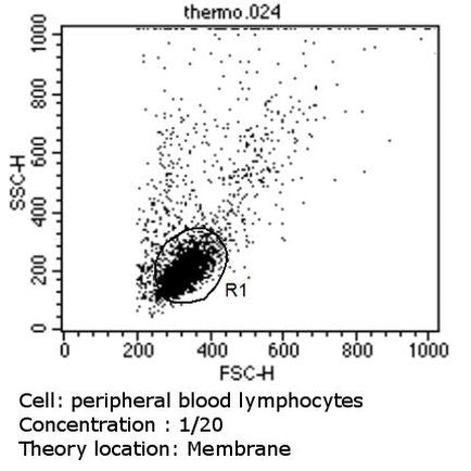TCR V beta 5a Monoclonal Antibody (1C1), FITC