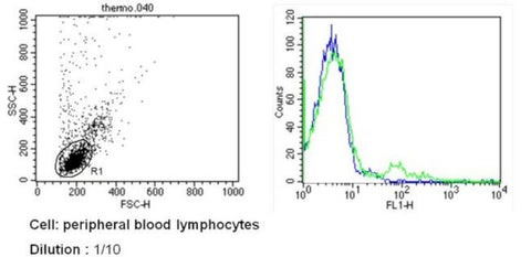 TCR V beta 8b Monoclonal Antibody (MX-6), FITC
