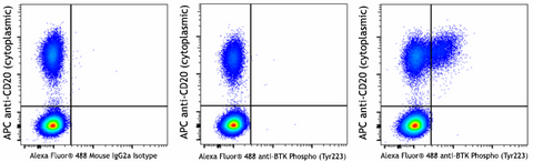 Alexa Fluor® 488 anti-BTK Phospho (Tyr223)