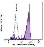 Alexa Fluor® 488 anti-human CD192 (CCR2)