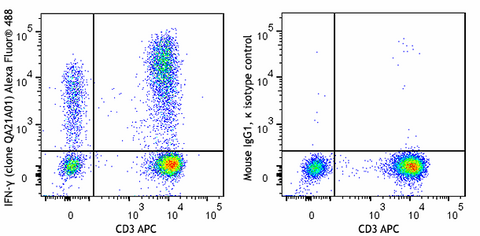 Alexa Fluor® 488 anti-human IFN-γ Recombinant