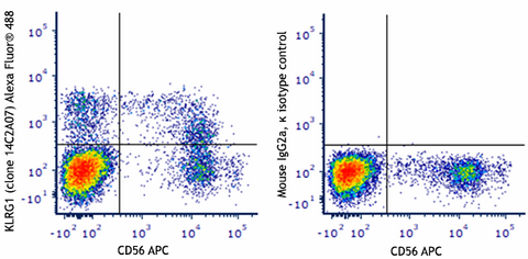 Alexa Fluor® 488 anti-human KLRG1 (MAFA)