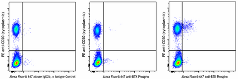 Alexa Fluor® 647 anti-BTK Phospho (Tyr223)