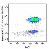 Alexa Fluor® 647 anti-Histone H3.1 Phospho (Ser28)