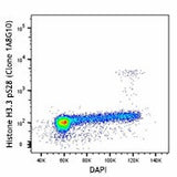 Alexa Fluor® 647 anti-Histone H3.1 Phospho (Ser28)