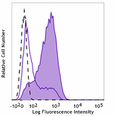 Alexa Fluor® 647 anti-human cdc2 Phospho (Thr14)