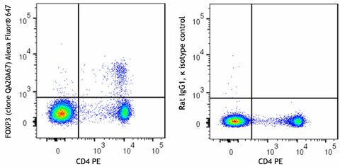 Alexa Fluor® 647 anti-mouse FOXP3 Recombinant