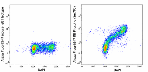 Alexa Fluor® 647 anti-Rb Phospho (Ser795)