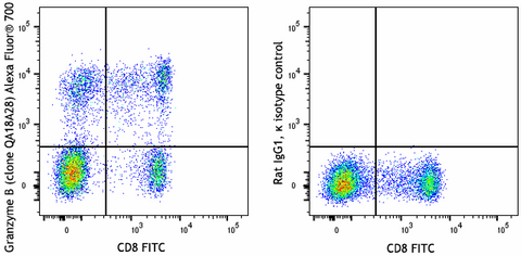 Alexa Fluor® 700 anti-human/mouse Granzyme B Recombinant