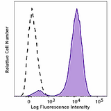 APC anti-human CD10 Recombinant