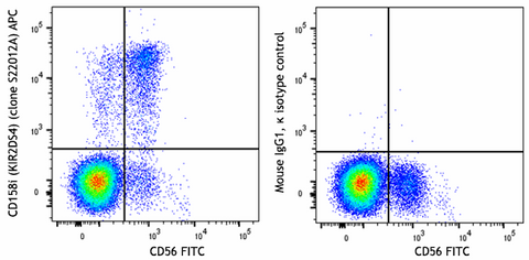 APC anti-human CD158i (KIR2DS4)