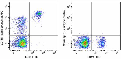 APC anti-human CD185 (CXCR5) Recombinant