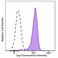 APC anti-human CD369 (Dectin-1/CLEC7A)