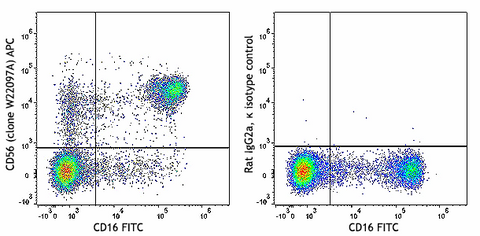 APC anti-human CD56 (NCAM)