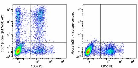 APC anti-human CD57 Recombinant