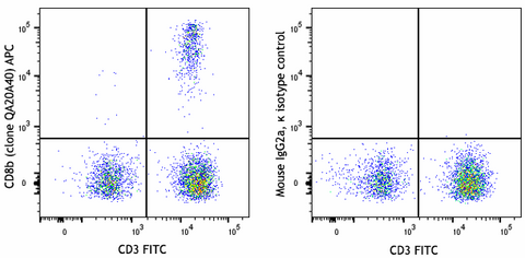 APC anti-human CD8b Recombinant