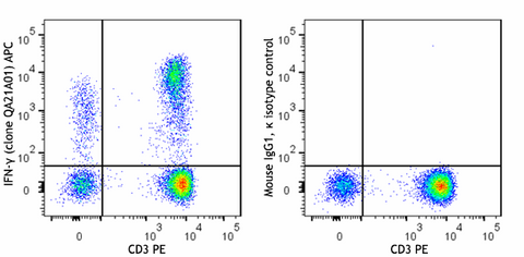 APC anti-human IFN-γ Recombinant