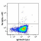 APC anti-human/mouse Bcl-6