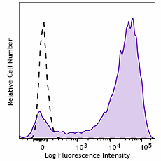 APC anti-mouse CD13 Recombinant