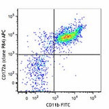 APC anti-mouse CD172a (SIRPα)