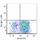 APC anti-mouse CD172a (SIRPα)