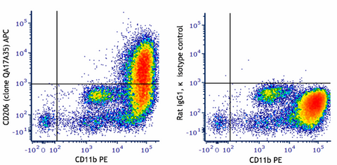 APC anti-mouse CD206 (MMR) Recombinant