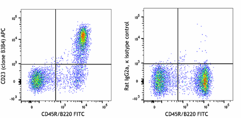 APC anti-mouse CD23