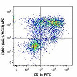 APC anti-mouse CD301 (MGL1/MGL2)