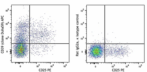 APC anti-mouse CD39
