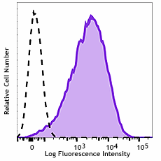 APC anti-mouse/human Mac-2 (Galectin-3)