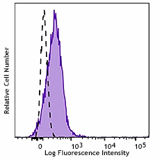 APC anti-mouse IFN-γ R β chain