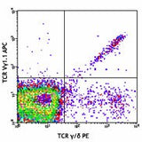 APC anti-mouse TCR Vγ1.1/Cr4