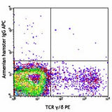 APC anti-mouse TCR Vγ1.1/Cr4