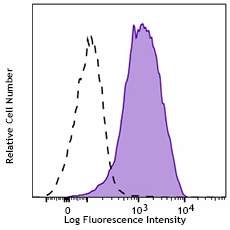 APC anti-RPS6 Phospho (Ser244)