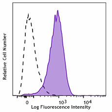 APC/Cyanine7 anti-human CD10