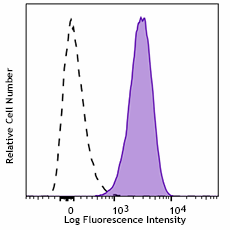 APC/Cyanine7 anti-human CD13