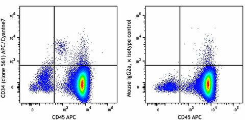 APC/Cyanine7 anti-human CD34