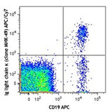 APC/Cyanine7 anti-human Ig light chain κ