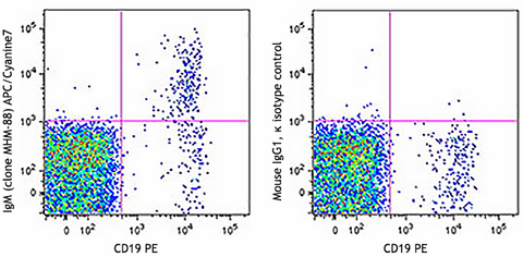 APC/Cyanine7 anti-human IgM