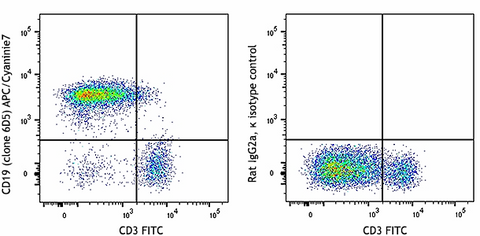 APC/Cyanine7 anti-mouse CD19