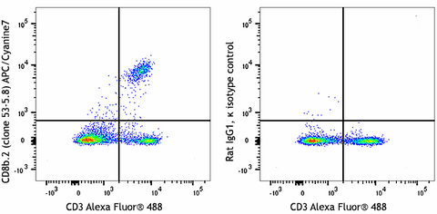 APC/Cyanine7 anti-mouse CD8b.2