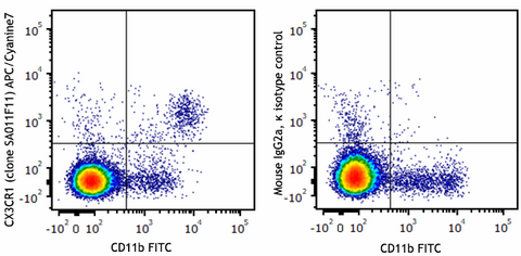 APC/Cyanine7 anti-mouse CX3CR1