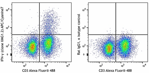 APC/Cyanine7 anti-mouse IFN-γ