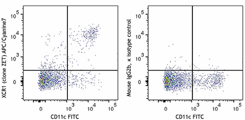 APC/Cyanine7 anti-mouse/rat XCR1