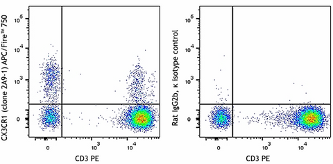 APC/Fire™ 750 anti-human CX3CR1