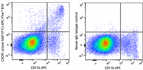APC/Fire™ 810  anti-mouse CX3CR1