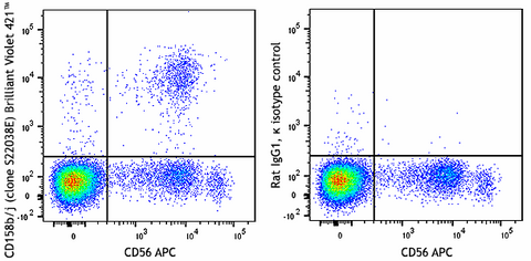 Brilliant Violet 421™ anti-human CD158b/j (KIR2DL2/L3/S2)
