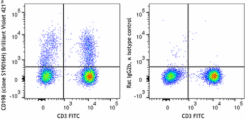 Brilliant Violet 421™ anti-human CD198 (CCR8)